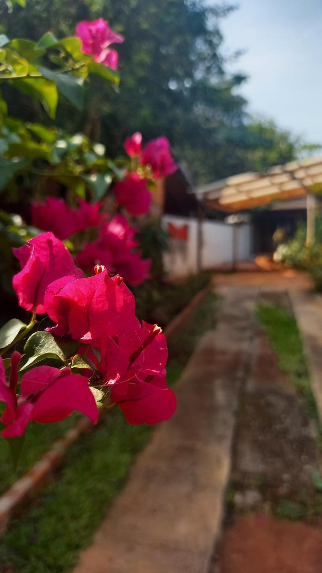 Ferienwohnung Oga'I Alquiler Turistico Puerto Iguazú Exterior foto